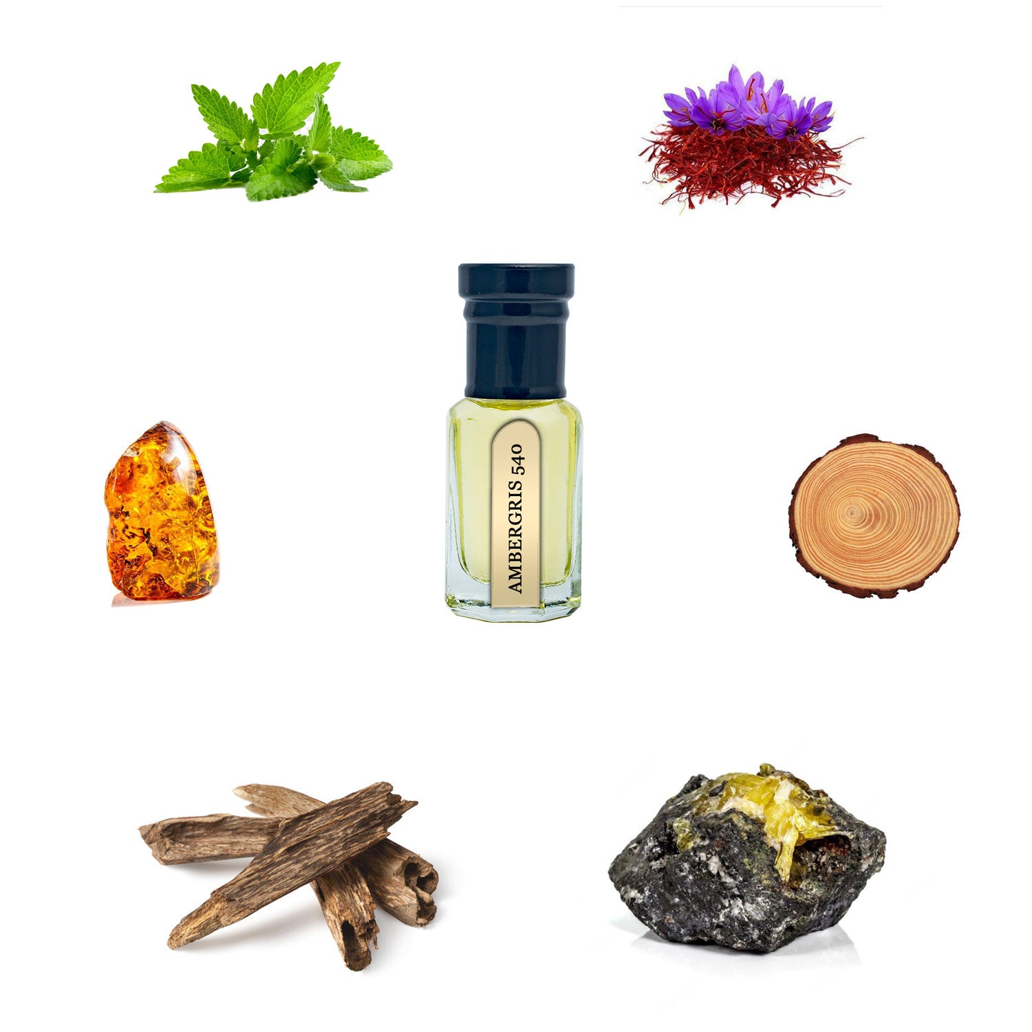 Ambergris Perfume 6ml